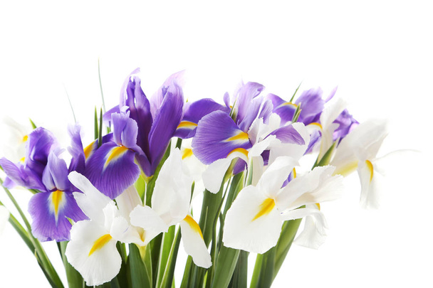 boeket van iris bloemen - Foto, afbeelding