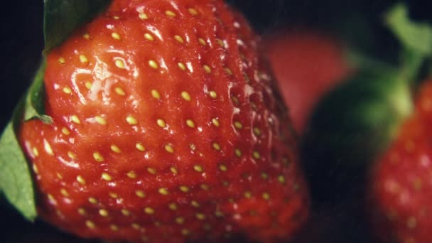 Slow mo. Strawberry berries under fine rain - Footage, Video