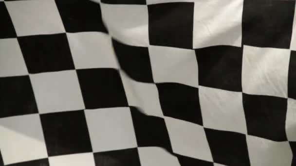 macha checkered racing flaga - Materiał filmowy, wideo