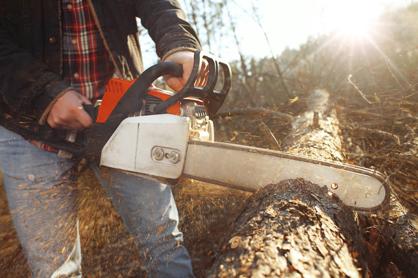 Logger work with chainsaw in the forest - Photo, Image