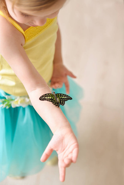 little girl with a butterfly - Фото, изображение