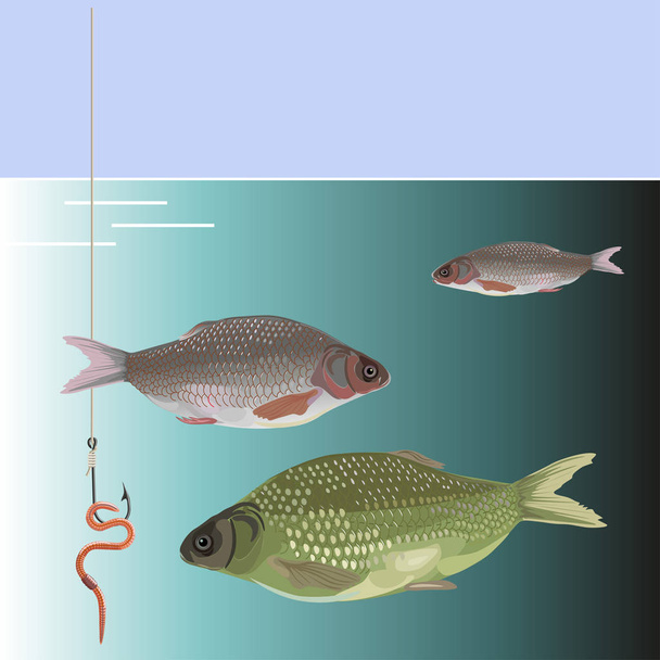 Vis die kijkt naar aas - Vector, afbeelding