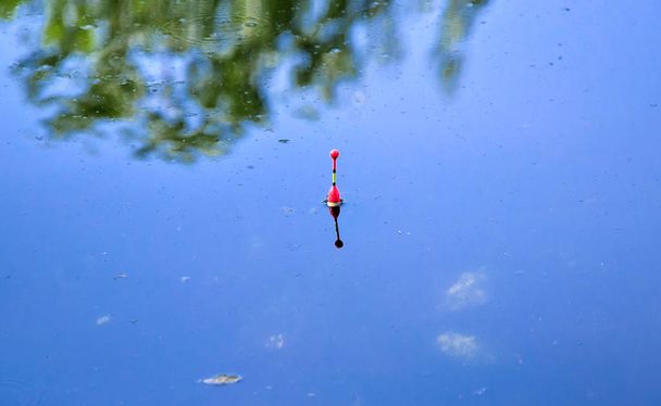 A Fishing Float Floats on the Water Stock Image - Image of pond, float:  161362641