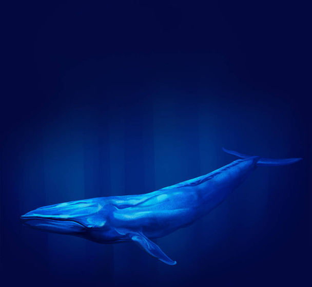 Blue Whale Diving - Foto, afbeelding