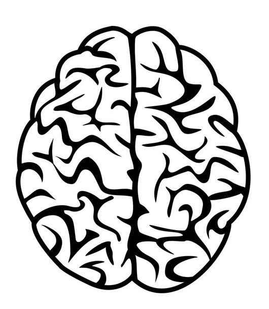 brain icon concept  - Vector, Image