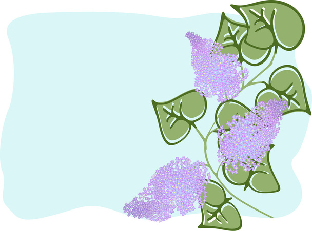 Rama de lila
 - Vector, imagen