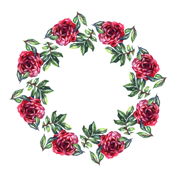 Rose flower wreath. Floral circle border. Watercolor on white background - Photo, image