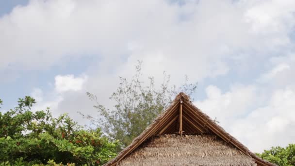 Cabaña de madera tropical con techo de hojas de palma en una playa tropical de la exótica isla de Bali, Indonesia. Cielo nublado azul
. - Imágenes, Vídeo