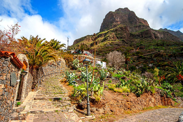 Pueblo Masca. Islas Canarias. Tenerife. España
 - Foto, Imagen