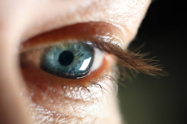 Makro detail ženské oko. Krásná žena oko. - Fotografie, Obrázek