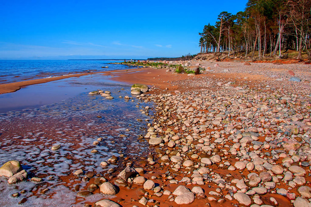 Costa del Mar Baltico. Triturini
 - Foto, immagini