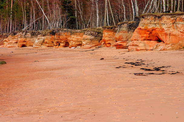 Baltic Sea coast. Kurmrags - Photo, Image
