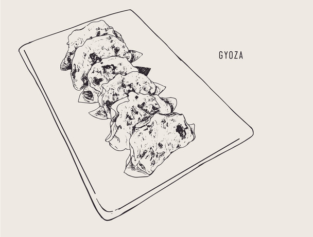 Fried Gyoza ,sketch water color vector. - ベクター画像
