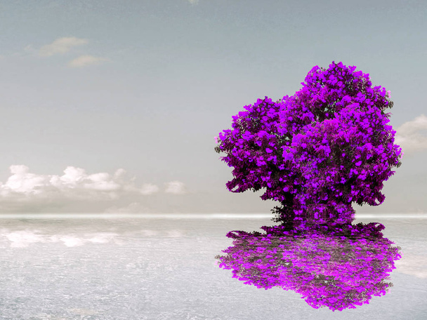 μωβ χρώμα λουλουδιών αντανάκλαση ουρανό σύννεφο επιφάνεια νερού της λίμνης - Φωτογραφία, εικόνα