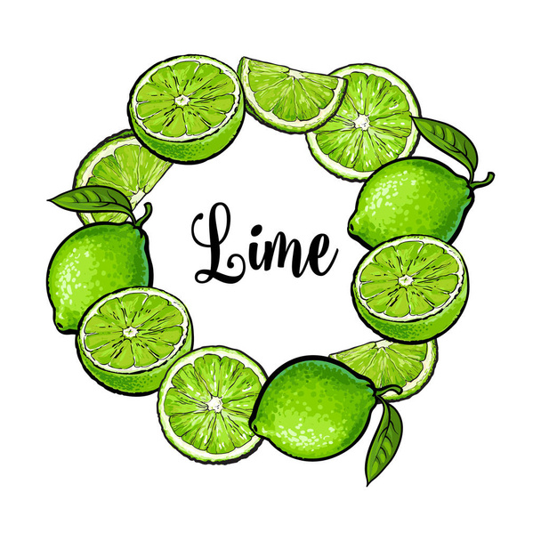 Round frame of green lime fruits with place for text - Vector, Image