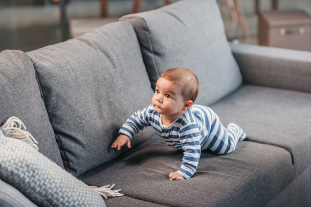 Junge krabbelt auf Sofa - Foto, Bild
