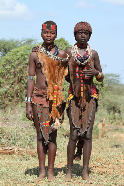 Hamar women from the Omo Valley in Ethiopia - Photo, Image