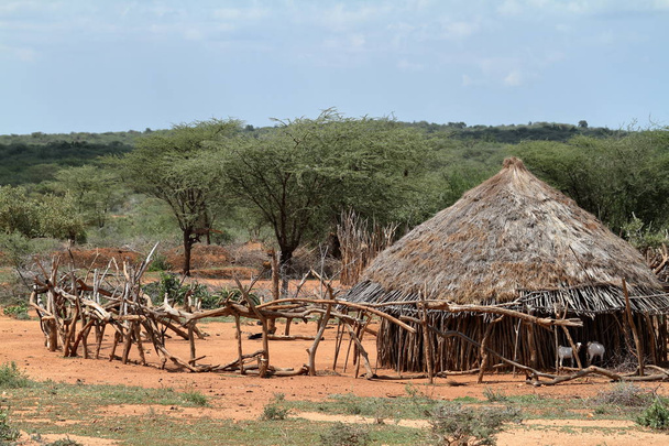 Cabanes traditionnelles en paille dans la vallée de l'Omo en Ethiopie
 - Photo, image