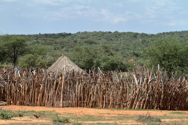 Hagyományos szalma kunyhók a Omo völgy Etiópia - Fotó, kép