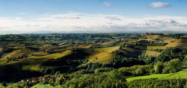 vineyards and hills of langhe panorama - Photo, Image