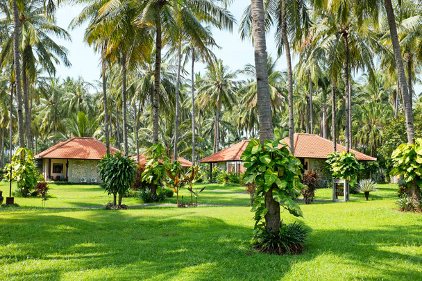 インドネシアのジャワの美しいトロピカル ガーデン - 写真・画像