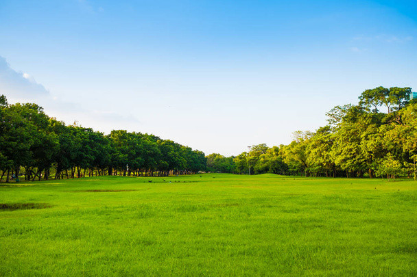 Táj zöld rét fa jellegű állami Park - Fotó, kép