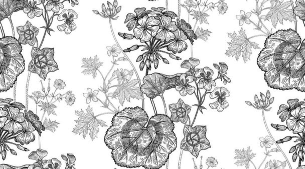 Geranium flowers. Seamless floral pattern. - Vector, Imagen