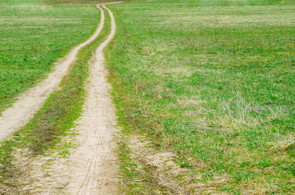 Lonely rural dirt road into the distance in a field with green grass. - Photo, Image