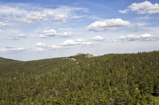 Panoramic view of the mountains and cliffs, South Ural. Summer in the mountains.View from the mountains. - Foto, imagen