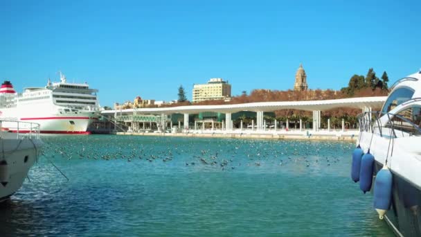 Puerto de Málaga. Málaga es un municipio español de la Comunidad Autónoma de Andalucía. La ciudad más grande del sur de Europa, se encuentra en la Costa del Sol del Mediterráneo
. - Metraje, vídeo
