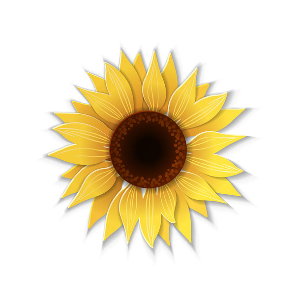 Paper art sunflower. - Vecteur, image