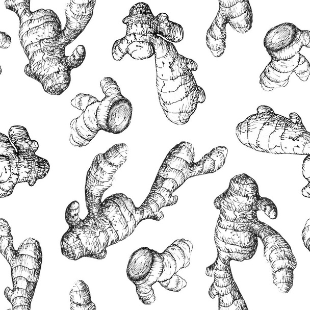 Seamless pattern with ginger roots on white background, black and white hand-drawn sketch. - Фото, зображення