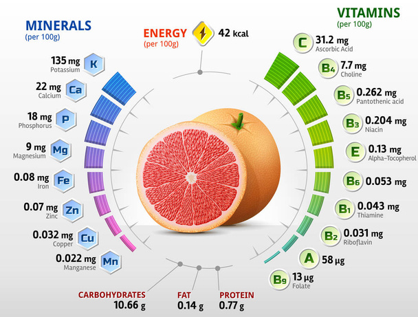 Vitamins and minerals of grapefruit fruit - Vector, Image