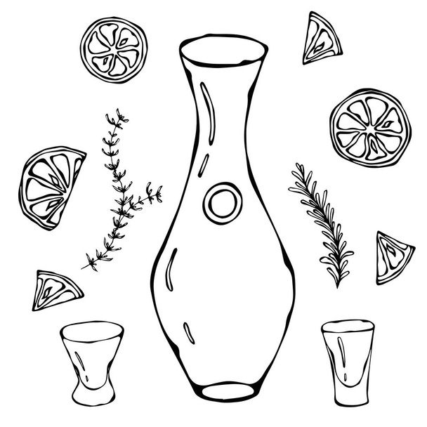Decanter for Wine Oil or Water. Sketch With Citrus and Herbs. Drink Time Hand Drawn Vector Illustration. - Διάνυσμα, εικόνα