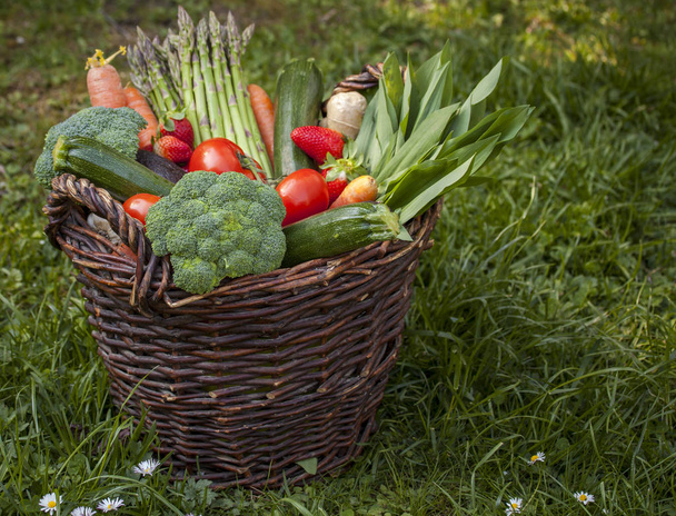 Fresh mixed Vegetables Basked on the Garden Background - Φωτογραφία, εικόνα
