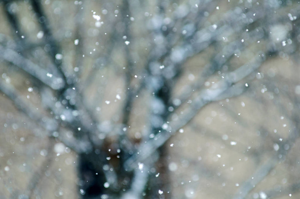 Zeitlupe Schnee fällt mit Baum Hintergrund Stadt Bokeh  - Foto, Bild