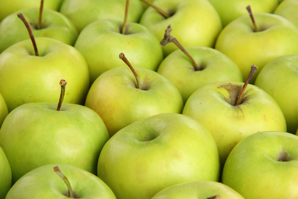 juicy apples, close up - Фото, изображение