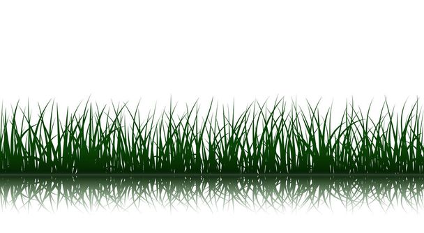 Vektorgrünes Gras - Vektor, Bild
