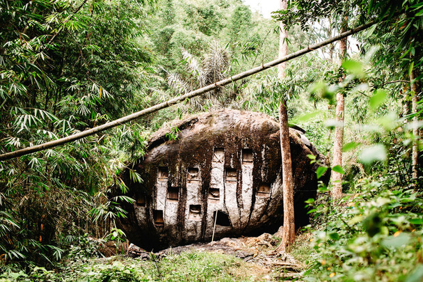Oude begraafplaats van de torajan in Bori, Tana Toraja. De begraafplaats met kisten in een grote steen geplaatst.  - Foto, afbeelding