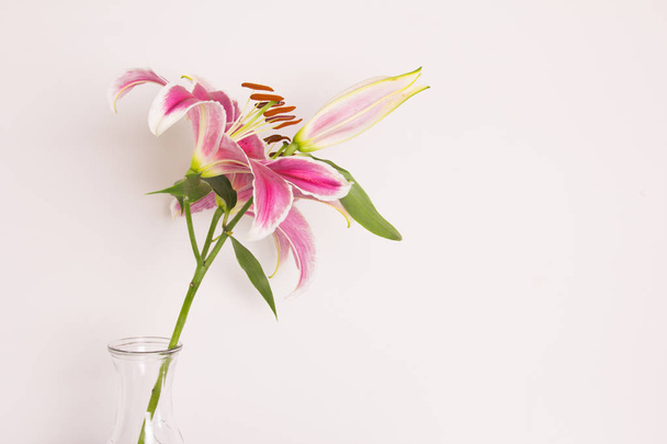 Lily flower in a vase - Photo, Image