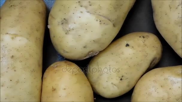 Kartoffel Textur zu essen - Filmmaterial, Video