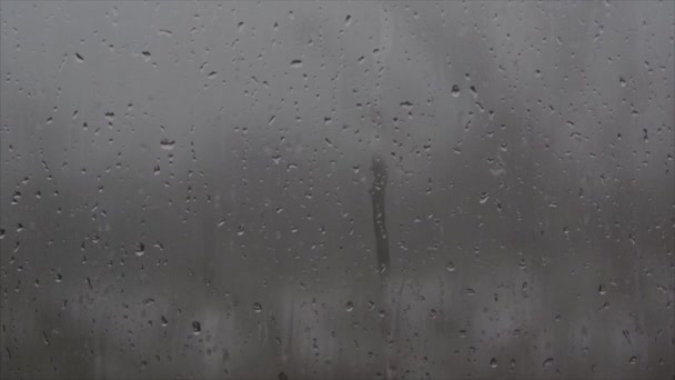 Rain drops and wet snow melt and flow down the glass. - Footage, Video