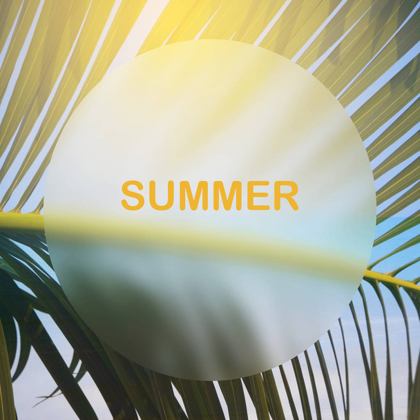 Summer concept background the palm leaf texture - Photo, Image