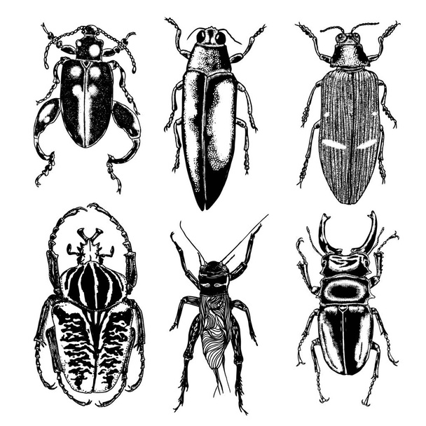 Insect stipple drawing set  - Vetor, Imagem