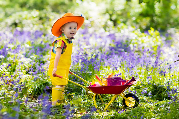 Dla dzieci w ogrodzie bluebell - Zdjęcie, obraz