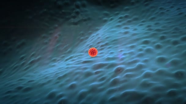 macrófagos e coronavírus - Filmagem, Vídeo