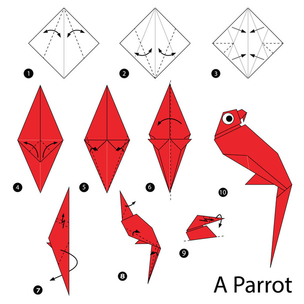 instrucciones paso a paso cómo hacer origami Un loro
 - Vector, imagen
