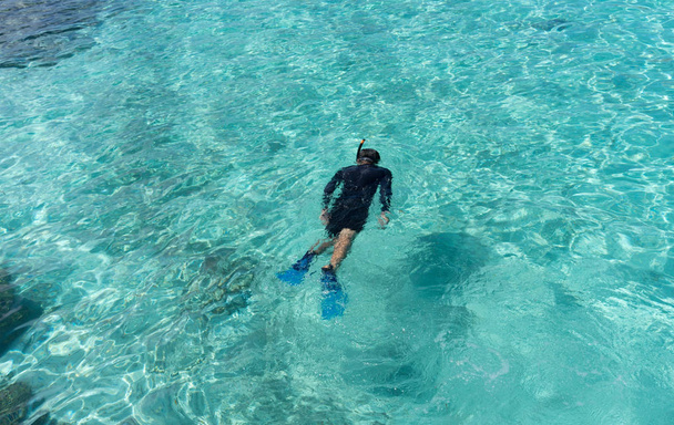 uomo che fa snorkeling in acqua tropicale
 - Foto, immagini