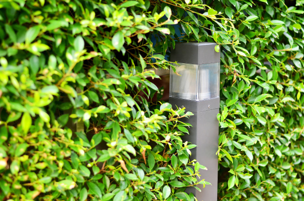 Solar garden lights are charged during the day - Photo, Image