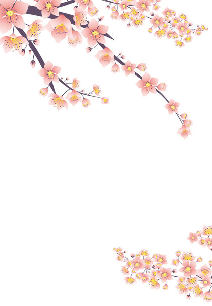 Japão Convite pré-fabricado fundo-flores de cereja
 - Vetor, Imagem